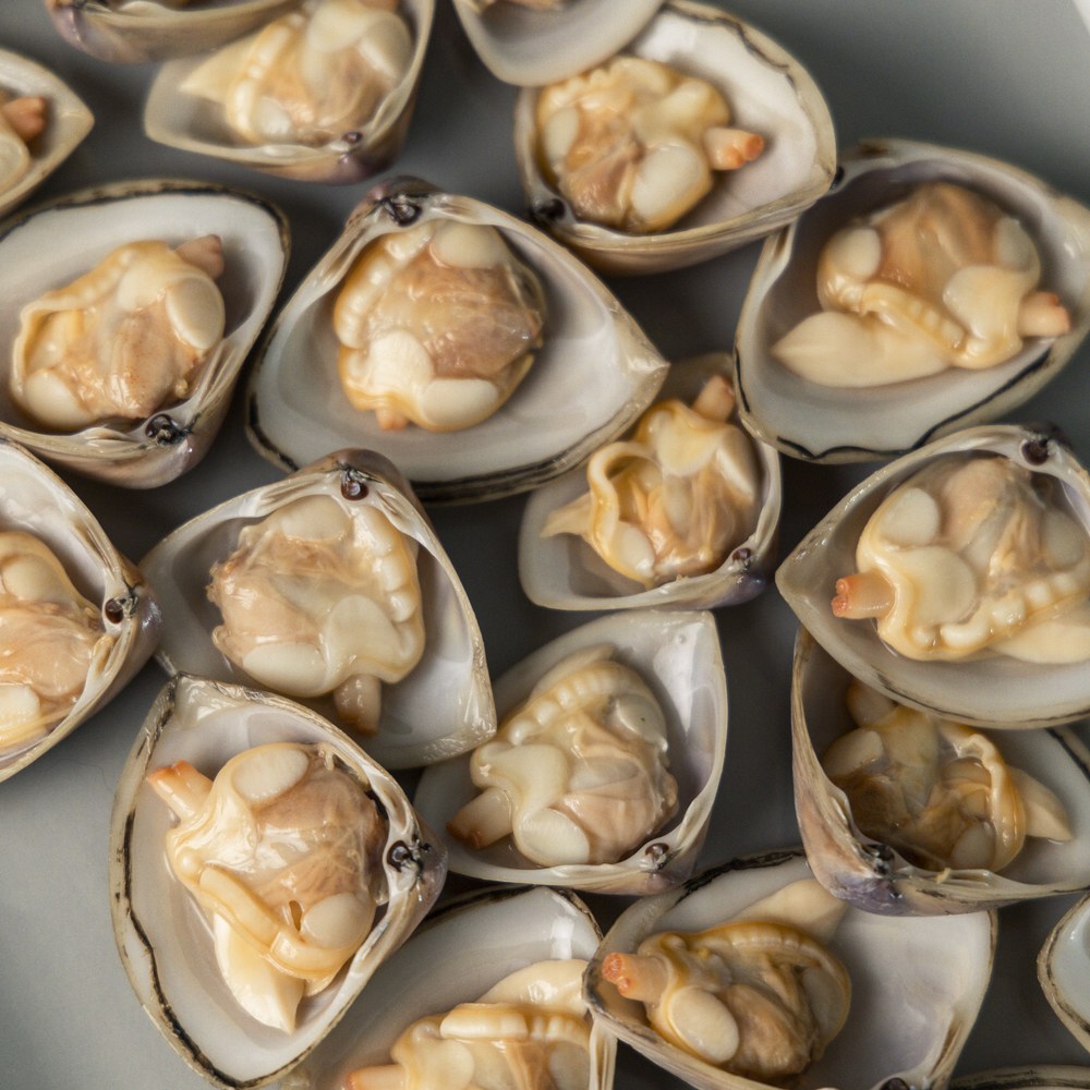 Diamond Shell clam platter